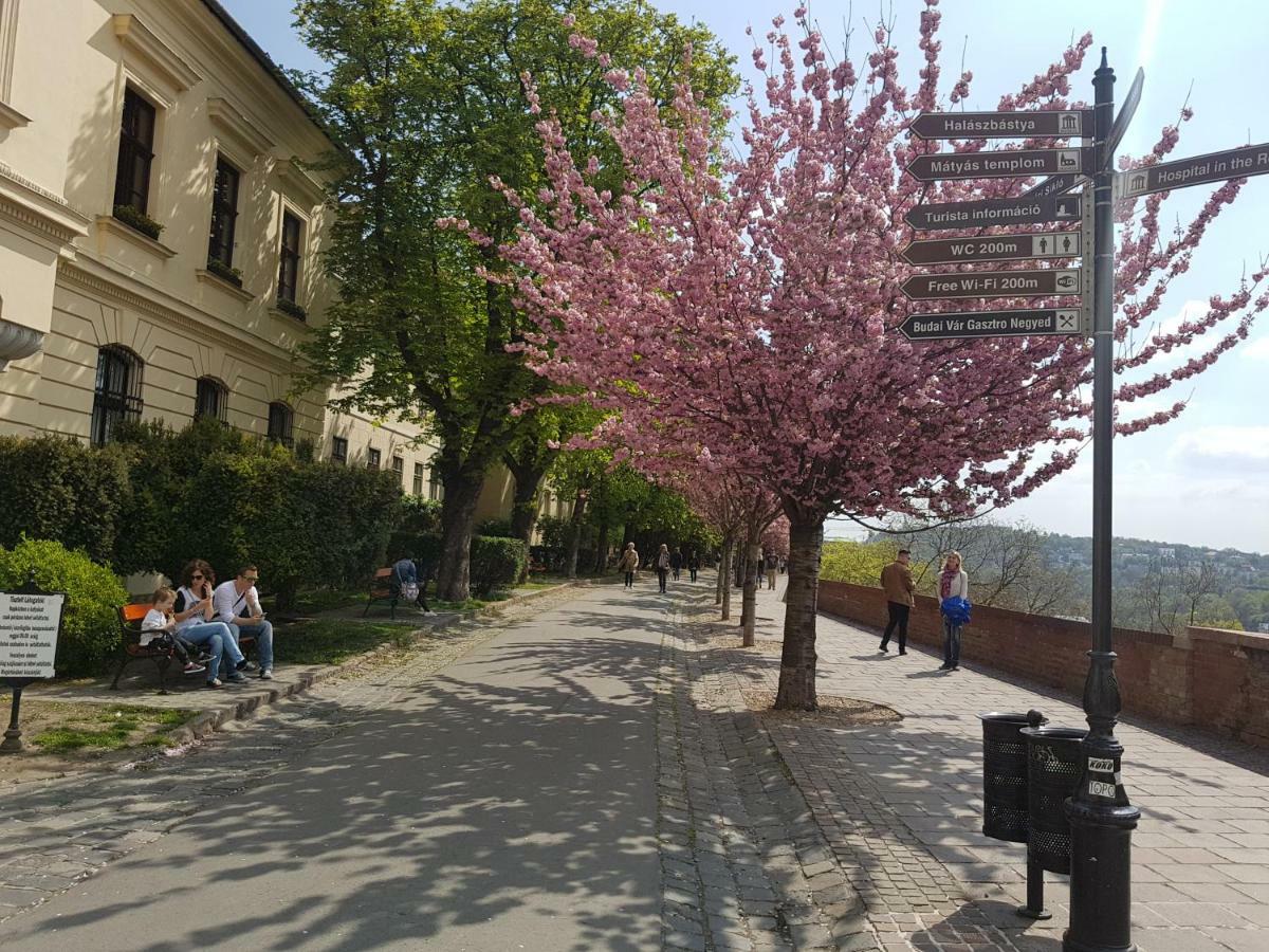 Budasmile Appartment At Buda Castle - Aircon & Free Parking Budapest Esterno foto